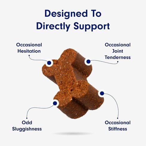Petlab Co. Joint Care Chews - High Levels of Glucosamine for Dogs, Green Lipped Mussels, Omega 3 and Turmeric - Dog Hip and Joint Supplement to Actively Support Mobility (Value 2 Pack) in Kuwait