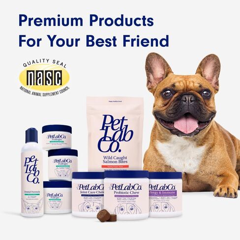 Petlab Co. Joint Care Chews - High Levels of Glucosamine for Dogs, Green Lipped Mussels, Omega 3 and Turmeric - Dog Hip and Joint Supplement to Actively Support Mobility (Value 2 Pack) in Kuwait