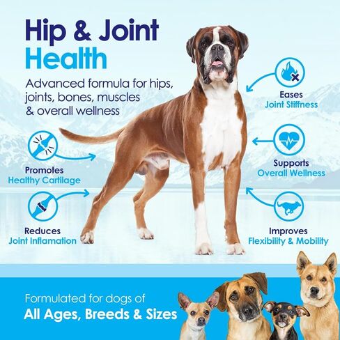 مسحوق الجلوكوزامين المتقدم للكلاب لتخفيف آلام التهاب المفاصل وخلل التنسج الورك، يدعم صحة المفاصل ويقلل الالتهاب مع الجلوكوزامين والكوندرويتين وMSM والكالسيوم المرجاني، مسحوق 6 أونصة in Kuwait