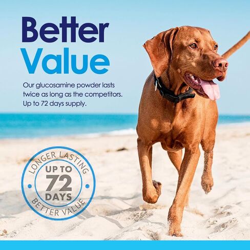 مسحوق الجلوكوزامين المتقدم للكلاب لتخفيف آلام التهاب المفاصل وخلل التنسج الورك، يدعم صحة المفاصل ويقلل الالتهاب مع الجلوكوزامين والكوندرويتين وMSM والكالسيوم المرجاني، مسحوق 6 أونصة in Kuwait