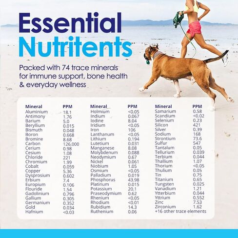 مسحوق الجلوكوزامين المتقدم للكلاب لتخفيف آلام التهاب المفاصل وخلل التنسج الورك، يدعم صحة المفاصل ويقلل الالتهاب مع الجلوكوزامين والكوندرويتين وMSM والكالسيوم المرجاني، مسحوق 6 أونصة in Kuwait