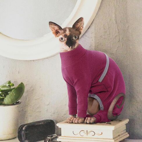 ROZKITCH Hairless Cat Clothes, Breathable Soft Cat Sweaters for Cats Only, Cat Coat with Four Legs, Warm Cat PJS Cat T-Shirt Cat Pajamas Jumpsuit Vest Cornish Rex, Devon Rex, Peterbald DarkRed L in Saudi Arabia