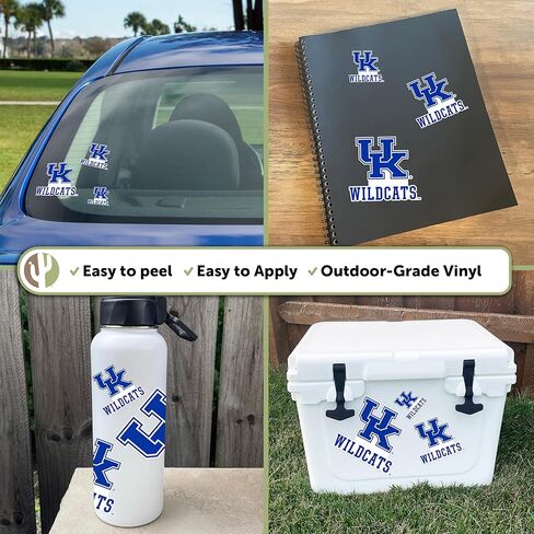 Desert Cactus University of Kentucky Sticker Wildcats UK Stickers Vinyl Decals Laptop Water Bottle Car Scrapbook T3 (Type 3-1) in Saudi Arabia