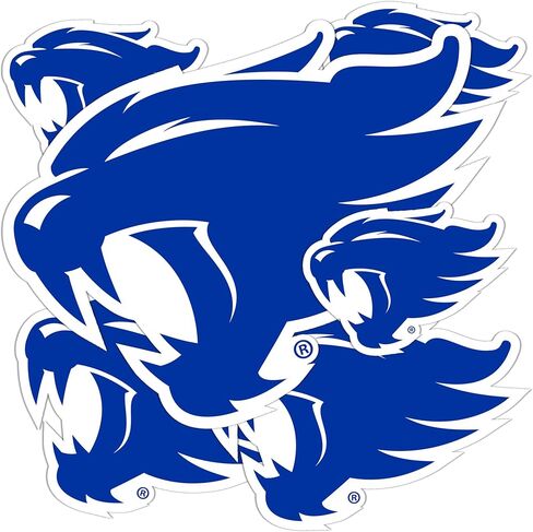 Desert Cactus University of Kentucky Sticker Wildcats UK Stickers Vinyl Decals Laptop Water Bottle Car Scrapbook T3 (Type 3-1) in Saudi Arabia