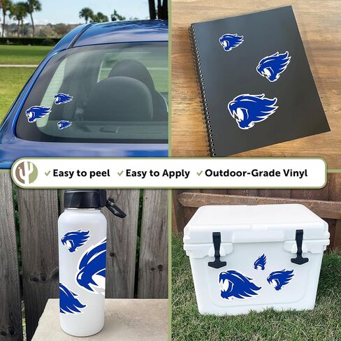 Desert Cactus University of Kentucky Sticker Wildcats UK Stickers Vinyl Decals Laptop Water Bottle Car Scrapbook T3 (Type 3-1) in Saudi Arabia