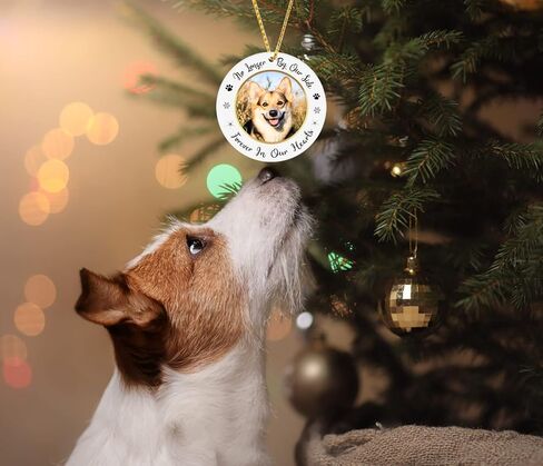 جوسموس اطار صورة لزينة الكريسماس التذكارية للكلب لعام 2022، زينة تذكارية لشجرة الكريسماس الى الابد في قلوبنا، هدايا تعاطف تذكارية لفقدان الكلاب والحيوانات الاليفة in Kuwait