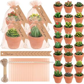 MTLEE 36 Pcs Succulent Candles Decorative Cactus Tealight Candle Tea Lights Handmade Baby Shower Candle Decorations Plant Candle with Mini Terracotta Clay Candle Holders for Wedding Home Party Decor in Kuwait