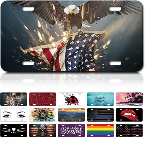 Decorative Front License Plate Cover, Rust-Proof Aluminum Car Vanity Tag, 6x12 Inch with 4 Holes,Personalise Noverlty License Plate Tag for Men & Women - Funny Pet Cat in Kuwait