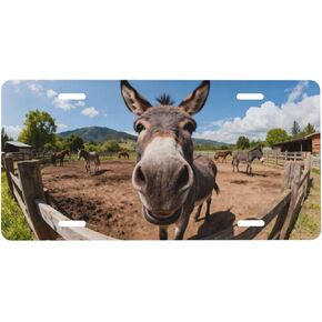 Cardinal Flower Snow Front License Plate Car Decorative License Plates Aluminum Metal Decor Accessory Novelty Vanity Tag Cover with 4 Holes for Men Women 6" X 12" in Kuwait