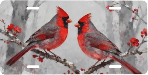Cardinal Flower Snow Front License Plate Car Decorative License Plates Aluminum Metal Decor Accessory Novelty Vanity Tag Cover with 4 Holes for Men Women 6" X 12" in Saudi Arabia
