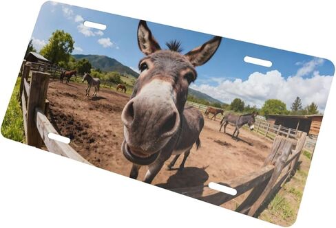 زهرة الكاردينال زهرة الثلج الأمامية لوحة ترخيص السيارة الزخرفية لوحات الترخيص الألومنيوم معدن ديكور ملحق الجدة الغرور علامة غطاء مع 4 ثقوب للرجال النساء 6 "× 12" in Kuwait