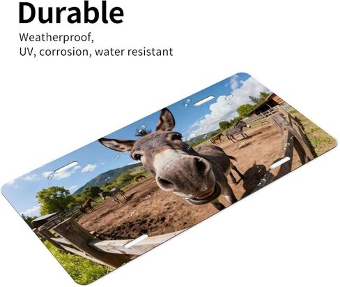 زهرة الكاردينال زهرة الثلج الأمامية لوحة ترخيص السيارة الزخرفية لوحات الترخيص الألومنيوم معدن ديكور ملحق الجدة الغرور علامة غطاء مع 4 ثقوب للرجال النساء 6 "× 12" in Kuwait