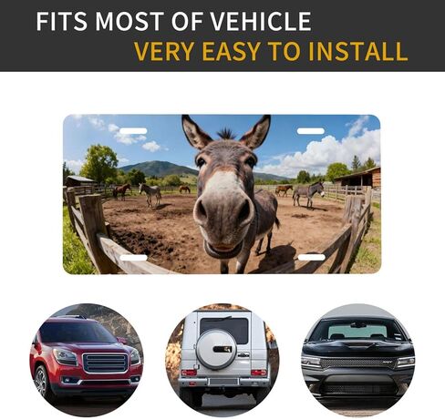 زهرة الكاردينال زهرة الثلج الأمامية لوحة ترخيص السيارة الزخرفية لوحات الترخيص الألومنيوم معدن ديكور ملحق الجدة الغرور علامة غطاء مع 4 ثقوب للرجال النساء 6 "× 12" in Kuwait