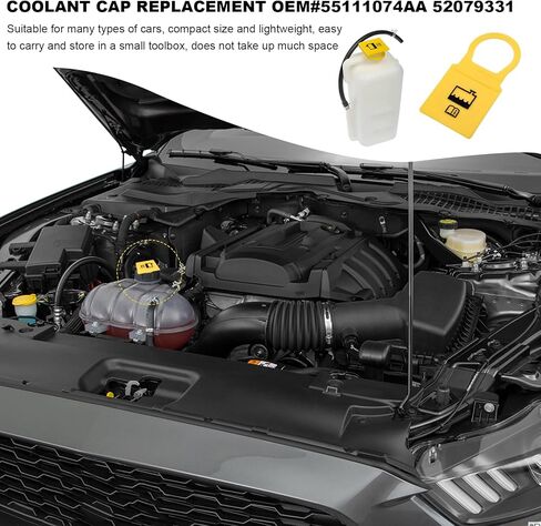 غطاء خزان سائل تبريد المحرك، استبدال غطاء خزان الفائض لاسترداد مشعاع السيارة، OEM # 55111074AA 52079331 أغطية سائل التبريد المتوافقة مع Pacifica Voyager Gladiator in Kuwait