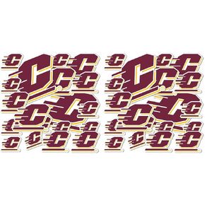 Desert Cactus Central Michigan University CMU Chippewas Stickers Vinyl Decals Laptop Water Bottle Car Scrapbook T1 (Type 1-1) in Saudi Arabia