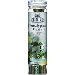 Scented Christmas Tree Ornaments, White Winter Fir Scent - 1 Bottle (6 Sticks Total) in Saudi Arabia