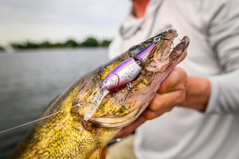Berkley Flicker Shad Jointed Fishing Lure, Slick Smelt, 1/3 oz, 2 3/4in | 7cm Crankbaits, Size, Profile and Dive Depth Imitates Real Shad, Equipped with Fusion19 Hook in Saudi Arabia