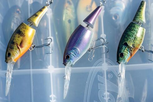 Berkley Flicker Shad Jointed Fishing Lure, Slick Smelt, 1/3 oz, 2 3/4in | 7cm Crankbaits, Size, Profile and Dive Depth Imitates Real Shad, Equipped with Fusion19 Hook in Saudi Arabia