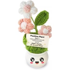 Inspirational Gifts for Women, Positive Crochet Flowers - Emotional Support Crochet Plants with Positive Messages, Cheer Up Gifts for Women, Sister & Bestie, Handmade Unique Flower for Plant Lovers in Saudi Arabia
