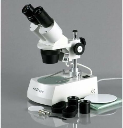 AmScope SE305R-PZ-E مجهر ستيريو رقمي مثبت للأمام، عدسات WF10x وWF20x، تكبير 10X/20X/30X/60X، أهداف 1X و3X، إضاءة هالوجين علوية وسفلية، لوحة مسرح سوداء/بيضاء قابلة للعكس، حامل عمود، 120 فولت ، يتضمن 0.3 in Kuwait