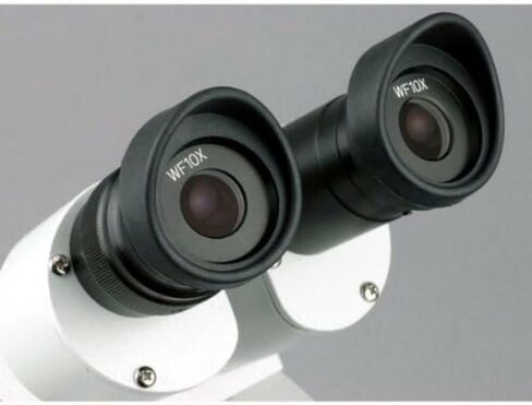 AmScope SE305R-PZ-E مجهر ستيريو رقمي مثبت للأمام، عدسات WF10x وWF20x، تكبير 10X/20X/30X/60X، أهداف 1X و3X، إضاءة هالوجين علوية وسفلية، لوحة مسرح سوداء/بيضاء قابلة للعكس، حامل عمود، 120 فولت ، يتضمن 0.3 in Kuwait