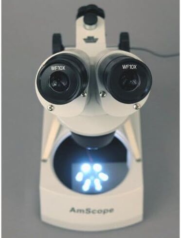 AmScope SE305R-PZ-E Digital Forward-Mounted Binocular Stereo Microscope, WF10x and WF20x Eyepieces, 10X/20X/30X/60X Magnification, 1X and 3X Objectives, Upper and Lower Halogen Lighting, Reversible Black/White Stage Plate, Pillar Stand, 120V, Includes 0.3 in Kuwait