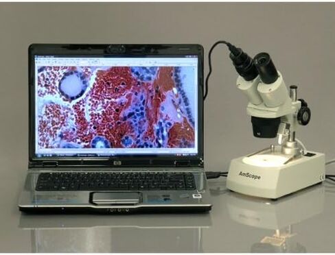 AmScope SE305R-PZ-E Digital Forward-Mounted Binocular Stereo Microscope, WF10x and WF20x Eyepieces, 10X/20X/30X/60X Magnification, 1X and 3X Objectives, Upper and Lower Halogen Lighting, Reversible Black/White Stage Plate, Pillar Stand, 120V, Includes 0.3 in Kuwait