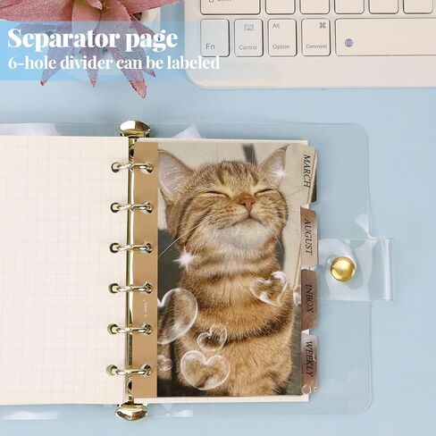 Plastic A6 Binder Dividers with Tabs, 6 Hole Transparent 6 Tabbed Insertable Dividers, Leaves File Separators for Planners, Notebook and Binder in Kuwait