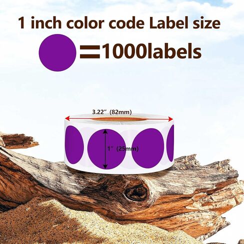 1000 قطعة من الملصقات المنقطة البيضاء، بكرة ملصقات دائرية مقاس 1 بوصة، ملصقات ترميز الألوان سهلة التقشير للتنظيم ووضع العلامات، ملصقات فارغة لاصقة دائمة in Kuwait