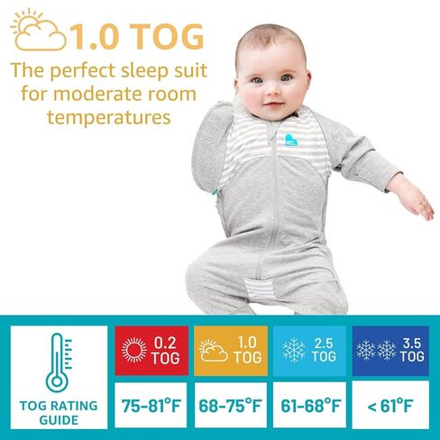 بدلة Love to Dream Swaddle UP الانتقالية، رمادية، كبيرة، 19-24 رطلاً، أجنحة بسحاب حاصلة على براءة اختراع وأكمام فريدة من نوعها مهدئة ذاتيًا، الانتقال بأمان من التقميط إلى خالية من الأسلحة قبل التدحرج in Saudi Arabia