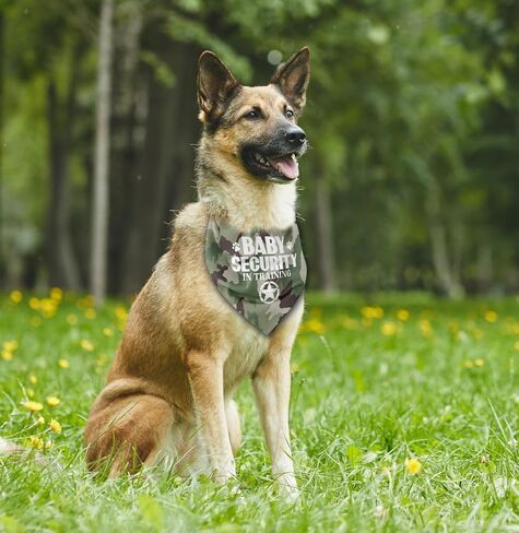 Dog Bandana, Emotional Support Animal Dog Bandana, Dog Scarf Classical White Printing, Dog Scarf Accessories, Dog Bandana Pet Scarf, ESA Pet Scarf, Pet Scarf Accessories, Dog Bandana Gift (I22) in Saudi Arabia