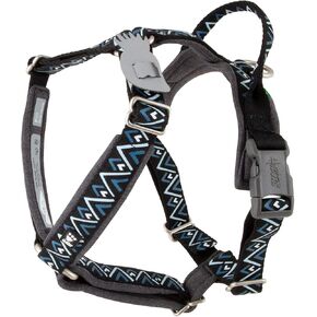 هارتا رازل-دازل - هارنيس، جذر الشمندر، 14-18 بوصة in Kuwait