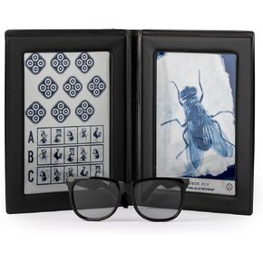 Stereo Fly Vision Test (SO001) for Evaluation of Gross Stereopsis and Fine Depth Perception