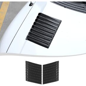 Voodonala for Ford F150 Front Hood Engine Cover Carbon Fiber Engine Hood Air Vent Outlet Cover Trim For Ford F150 Raptor 2009-2014(ABS,2pcs/set)