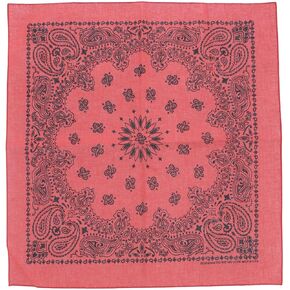 CTM® Cotton Contemporary Paisley Print Bandana
