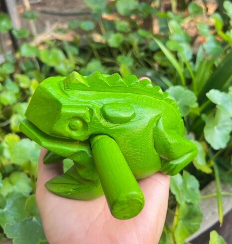 6 بوصة أدوات قرع Guiros ضفدع خشبي 6 بوصة نحت الخشب الضفدع الأسود آلة موسيقية ، آلة موسيقية الضفدع الخشبي. (أخضر) in Kuwait