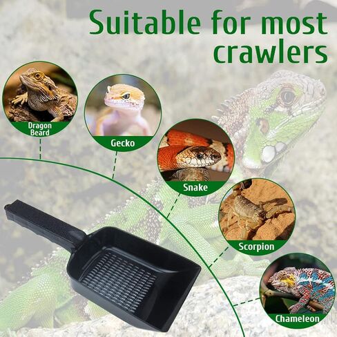 Hamiledyi Reptile Sand Substrate Scooper Plastic Fine Mesh Reptile Poop Shovel Terrarium Bedding Substrate Sifter Litter Cleaner Corner Scoop for Bearded Dragon Lizard Gecko Snakes Turtle(2 PCS) in Saudi Arabia