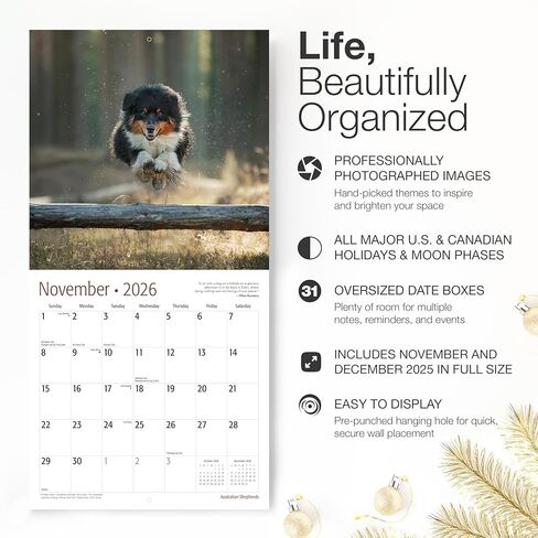 RED EMBER Soft Coated Wheaten Terriers 2026 Wall Calendar 12 Month | 12" x 24" Open | Thick & Sturdy Paper | Giftable | Calendar 2026 in Saudi Arabia