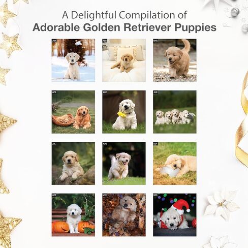 RED EMBER English Springer Spaniel Puppies 2026 Wall Calendar 12 Month | 12" x 24" Open | Thick & Sturdy Paper | Giftable | Calendar 2026 in Saudi Arabia