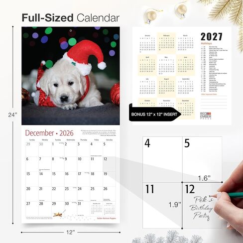 RED EMBER English Springer Spaniel Puppies 2026 Wall Calendar 12 Month | 12" x 24" Open | Thick & Sturdy Paper | Giftable | Calendar 2026 in Saudi Arabia