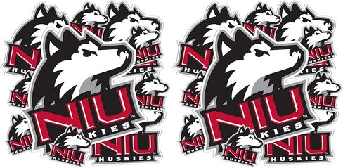 Desert Cactus Northern Illinois University Stickers NIU Huskies Vinyl Decals Laptop Water Bottle Car Scrapbook T3 (Type 3-1) in Saudi Arabia