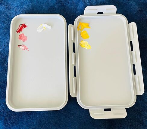 No More Dried Paint! Stay-Wet Palette with Airtight, Anti-Leak Lid, for Acrylic, Oil, Gouache & Watercolor – Keeps Paints Fresh for Days! Portable, Mess-Free Palette in Saudi Arabia