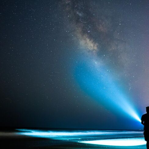 مصباح يدوي Maglite ML300L LED ثنائي الخلية D، رمادي in Saudi Arabia