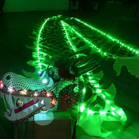 LED Dragon Poi مع رأس تنين ثلاثي الأبعاد، شريط حرير أخضر مضيء للرقص الصيني الطويل، طقم فني للمبتدئين مع حقيبة حمل، دعامة للأداء في الهواء الطلق، 6 متر (20 قدم) in Saudi Arabia