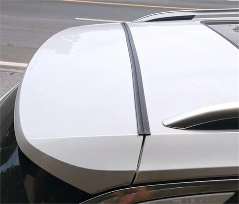 تصفيف السيارة سيارة SUV سقف شريط عازل غطاء صندوق السيارة الفجوة ل I30 I10 i20 i35 IX20 IX25 IX35 سانتا في (أسود) in Kuwait