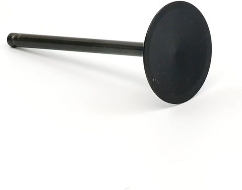 استبدال مخزون Michigan Motorsports 2.165 "صمام السحب | صمام واحد | يناسب L99 L76 L77 L92 LY6 L94 L9H L96 | يناسب رؤوس الأسطوانات 821 823 5364 in Saudi Arabia