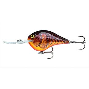Rapala Dives-to 3/4 Oz Fishing lure (Parrot, Size- 2.75) in Kuwait