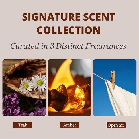 Car Air Freshener - Stone Air Freshener - Car Odor Eliminator for Visor Clip- Natural Scent Starter Kit, Vehicle Scent Diffuser for Cabin, Truck & SUV-Pack of 3 (Teak-Amber-Open Air)-CLIP INCLUDED in Saudi Arabia