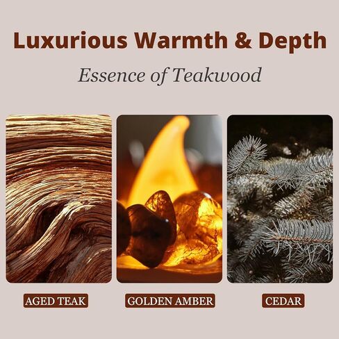 Car Air Freshener - Stone Air Freshener - Car Odor Eliminator for Visor Clip- Natural Scent Starter Kit, Vehicle Scent Diffuser for Cabin, Truck & SUV-Pack of 3 (Teak-Amber-Open Air)-CLIP INCLUDED in Saudi Arabia