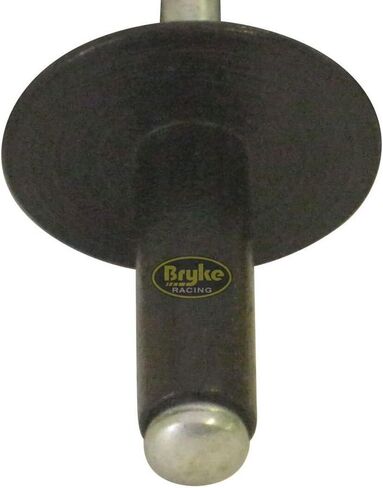 Large Head Black Rivets Pop Rivet 250 ct. 3/16" Racing Fastener IMCA USMTS in Kuwait
